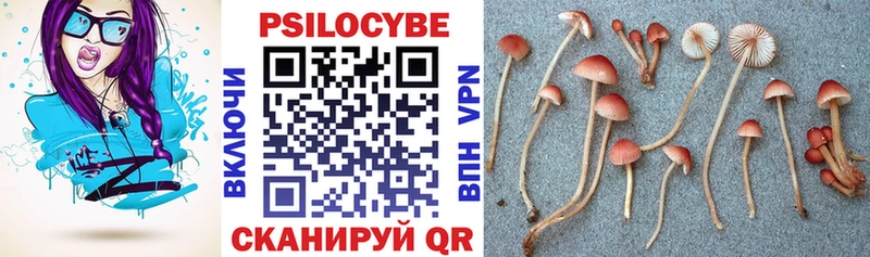 Купить где Салават Псилоцибиновые грибы прущие грибы